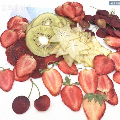 22pcs Dried Pressed Mixed Fruits Slices Plant Herbarium For Exopy Jewelry Photo Frame Phone Case Bookmark Postcard Making