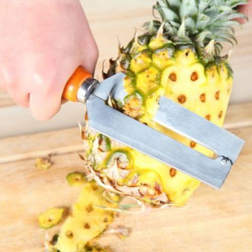Thick iron pineapple peeler multifunction planing asparagus peel exoculation 22*5CM free shipping
