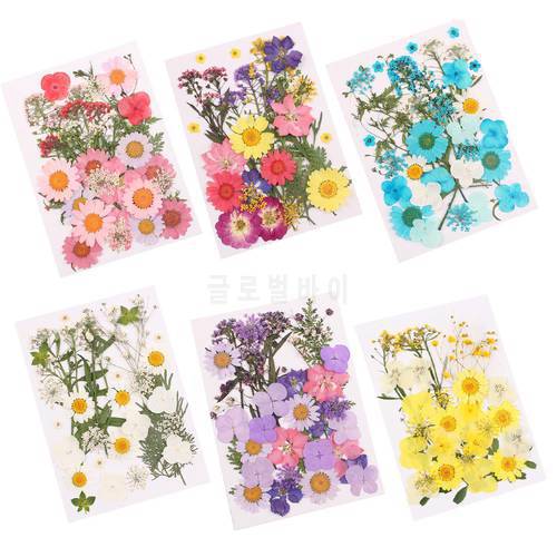 1 Bag Natural Pressed Decorative Dried Flowers Dried Flower Petals Artificial Flowers DIY Nail Craft Phone Case Dried Flowers