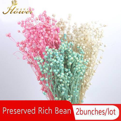 40-50g Preserved Rich Beans Dry Natural Real Jumble-beads Decor Dried Flowers Flower Decoration with Vase Pink Room Decoration