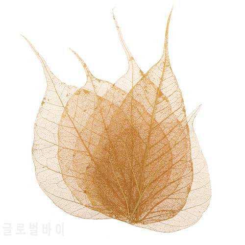 5 Pieces Crafts Pressed Dried Leaves Golden Natural Skeleton Leaves DIY Scrapbooking Wedding Party Festival Decoration Supply