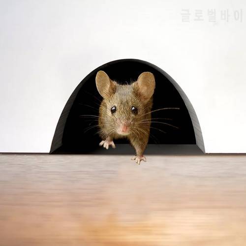 Realistic 3D Mouse Wall Sticker Mouse A Hole Wall Decal Unique Sticker Indoor And Outdoor Decoration 2021 Mouse Wall Sticker M