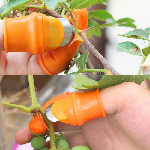 Farm Vegetable Fruit Picker Pickle Pepper Pickle Tip Picker Iron Nail Pick Grape Picker For Garden Orchard And Vegetable Patch