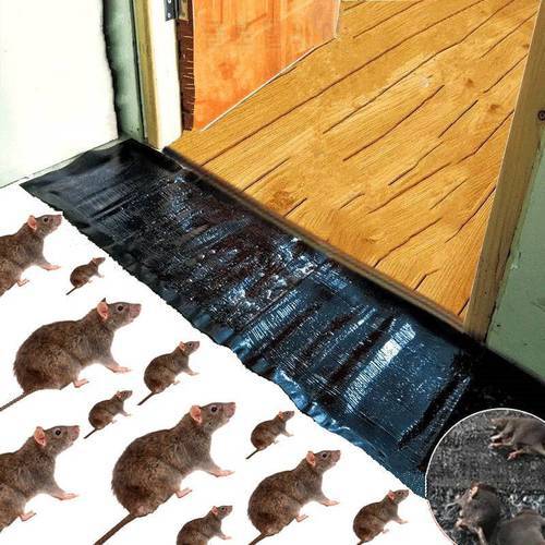 1.2M Super Strong Mouse Board Safety Non-Toxic Pest Control Rat Trap Glue Catch Cockroach Snake Spider Scorpion Insect Trap