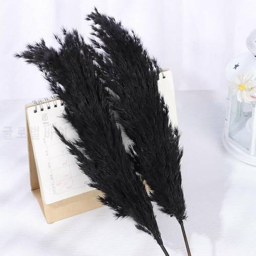1PC Black Dried Bouquets Plant Stems Reed Real Flower Natural Pampas Grass Wedding Decor Shooting Props DIY Craft