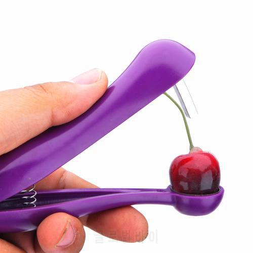 Portable Stainless Steel Cherries Pitter Fast Cherry Core Seed Remover Cherry Gadgets Keep Complete Mini Kitchen Fruits Tools