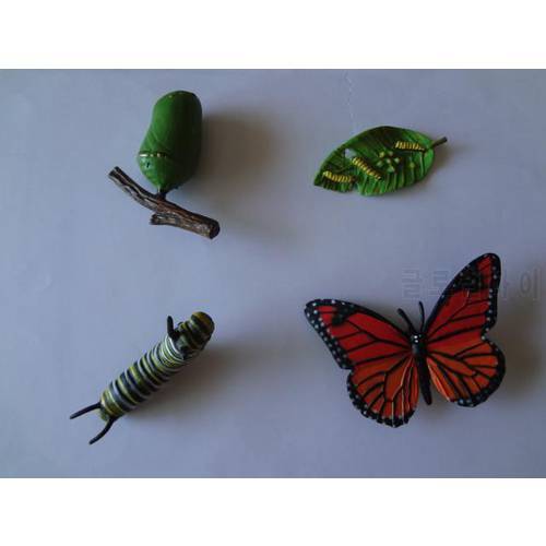 pvc figure Genuine simulation model toy butterfly life cycle set