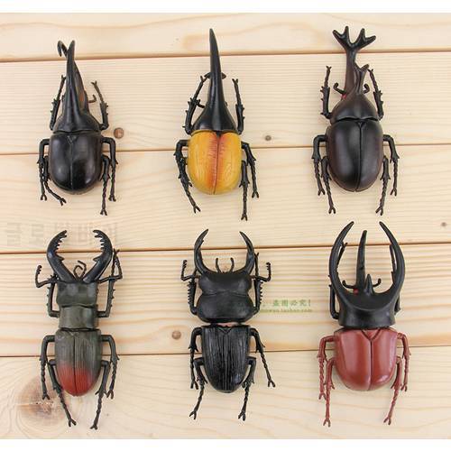 big one co-friendly plastic simulation model insect large pocket Hercules Ares model toy 6pCS/lot