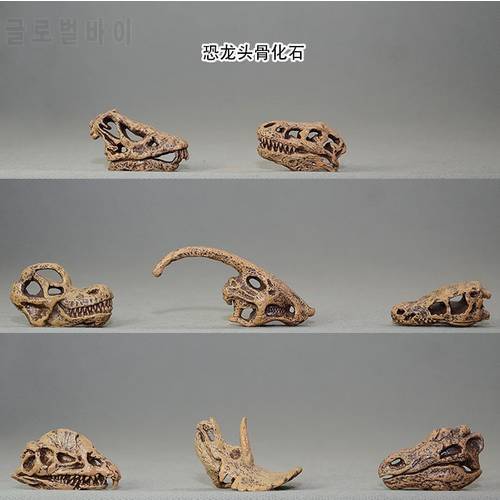 small Triceratops dinosaur skull model Tyrannosaurus rex skull model, 8pcs/set