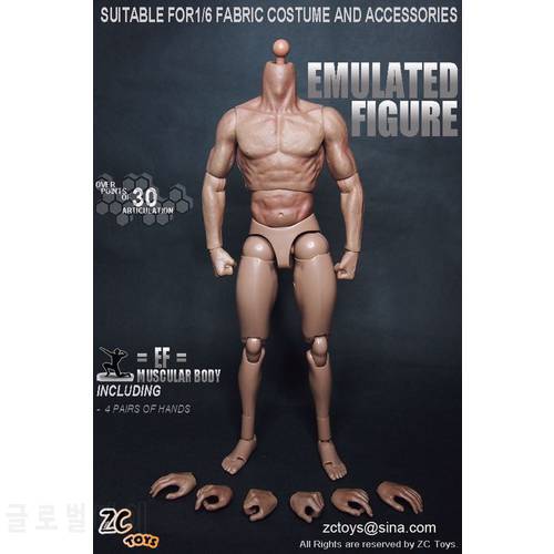 ZC Toys 1/6 Scale Muscular figure Body Similar to TTM19 For Hot Toys Free Shipping for 12