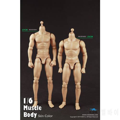 1/6 COOMODEL COO Standard Male Muscle Body NO: B34003 B34004 In Stock 12