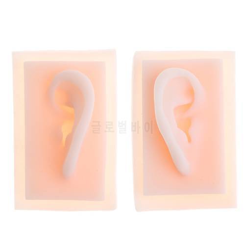 1:1 Lifesize Silicone Human Left & Right Acupuncture Ear Model School Medical Study Kit