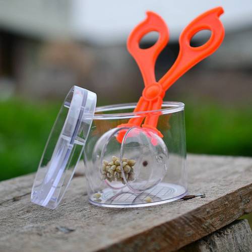 Nature Exploration Toy Kit Kids Plant Insect Study Tool - Plastic Scissor Clamp Tweezers Inset Round Head Scissors Clamp Toy