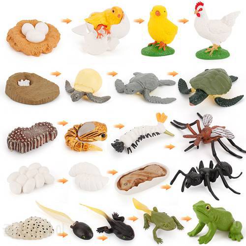 Early Kids Toddlers Simulation Animals Growth Cycle Toy Pretend Play Animal Growth Cycle Teaching Aids Early Educational Toy