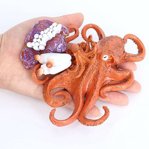 Life Cycle of a Octopus，Nature Insects Life Cycles Growth Model Game Prop，Simulation Insect Animal Natural Education Toy