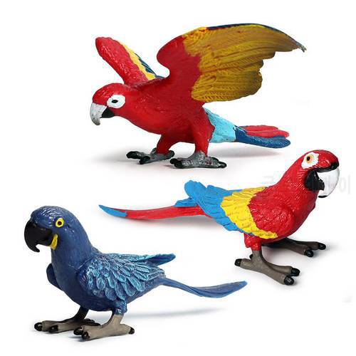 New Collection 3pc/Set Solid new macaw simulation wild animal model bird and bird set children toy decoration