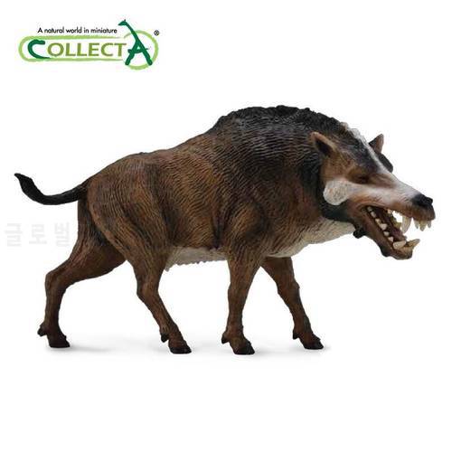 CollectA Ancient Creatures Daeodon Entelodon Classic Toys For Boys Children Gift Animal Model