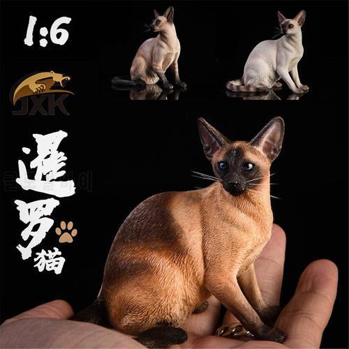 JxK 1:6 Scale Siamese Cat Pet Healing Figure Felidae Animal Model Collector Decoration Toy Resin Gift