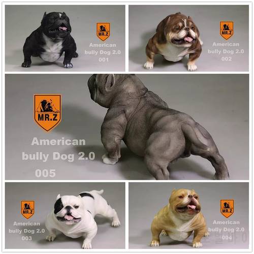 Mr.Z Studio 1:6 American Bully Pitbull Dog Pet Figure Animal Toy Collector Xmas Gift Play Decoration Ornaments Hand To Do