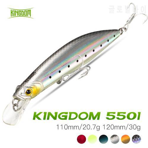 Kingdom Floating Minnow Fishing Lure 100mm/20.7g 120mm/30g Artificial Lures For Bass Jerkbait Fishing Wobbler For Pike Fishing