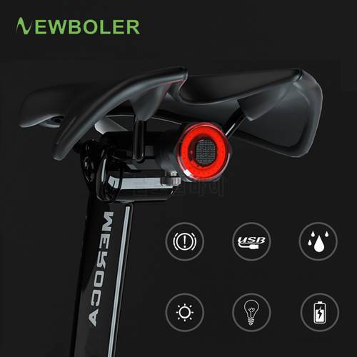 NEWBOLER Bicycle induction Taillight Auto-Start/Stop MTB Bike LED Light Waterproof Cycling Rear Lights USB Charge 24h Work Time
