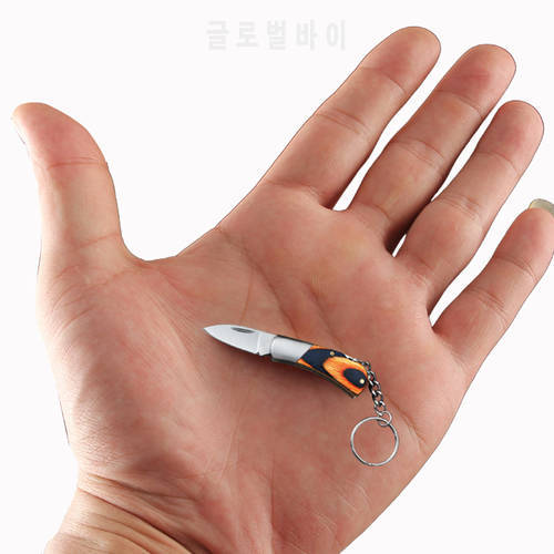 1PCS Mini Fold Knife Keychain Stainless Steel Portable Household Fruit Knife Tools Camping Hiking Outdoor Knife Key Pendant