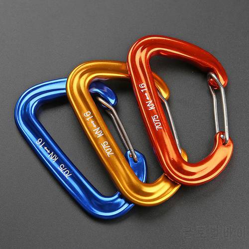 1PC D Shape Mountaineering Buckle Hook Professional Climbing Carabiner 16KN Safety Lock Outdoor Climbing Equipment Accessory