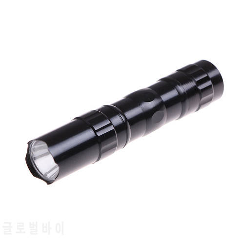 Waterproof Mini LED Flashlight Torch Pocket Light Portable Lantern AA Battery Powerful Led For Hunting Camping Outdoor Tools