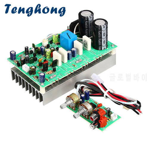 Tenghong Subwoofer Amplifier Board 250W Mono Sound Amplifier Power Audio Amplificador Board Home Speaker DIY Amp Dual AC22-26V