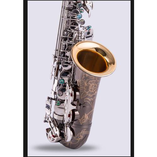 Custom Saxophone Alto Black Nickel Silver Alloy Alto Sax Brass Musical Instrument With Case Mouthpiece Reeds Accessories