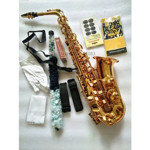 R54 Alto saxophone new high quality instrument Golden alto saxophone model Mouthpiece and case