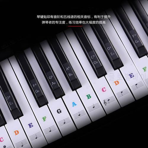 Hot Transparent Detachable Music Decal notes Piano Keyboard Stickers 54/61 or 88-key Electronic Piano Spectrum Sticker Symbol