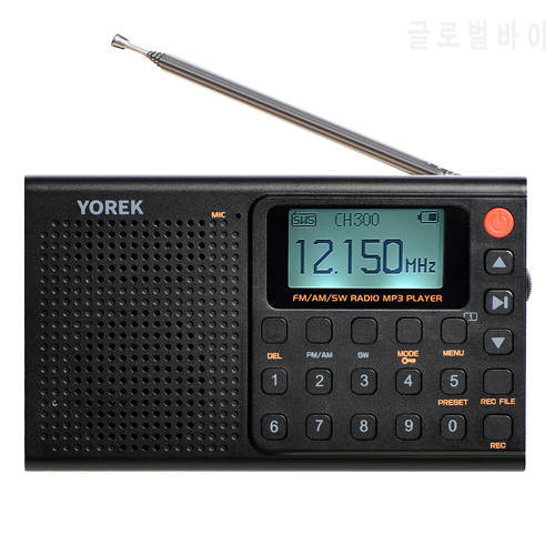 AM/FM/SW Portable Full Band bluetooth Radio Recorder, Digital Rechargeable Radio Support Recording and TF Card with Sleep Timer