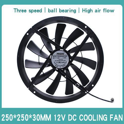 25CM mobile office room air blower exhaust plant and animal ventilation 25030 high air volume 12V computer cabinet cooling fan
