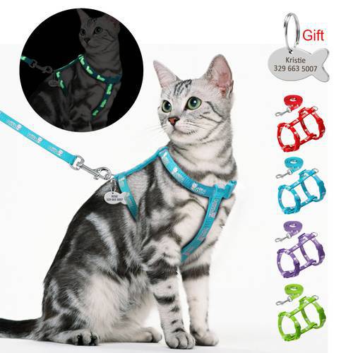 Nylon Cat Harness and Leash Set With Customized Id Tag Cats kitten Harnesses Anti Lost Name Tag Free Engraving Blue Red