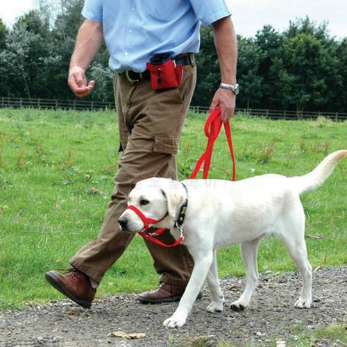 Dog Pet Dog Padded Head Collar Gentle HLeash Leader Stop Pulling Training Muzzles Tools