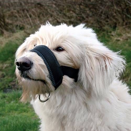 Pet Dog Padded Head Collar Gentle HLeash Leader Stop Pulling Training Tool