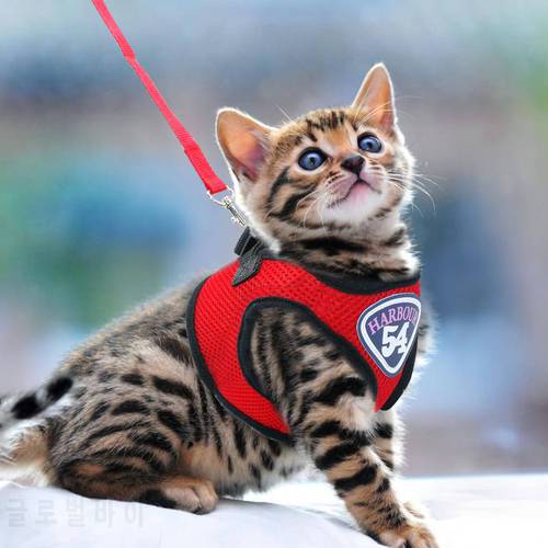 Mesh Cat Harness Small Pet Dog Harness Clothes Jacket Puppy Kitten Puppy Chihuahua Harnesses Vest Walking Leash Leads Supplies