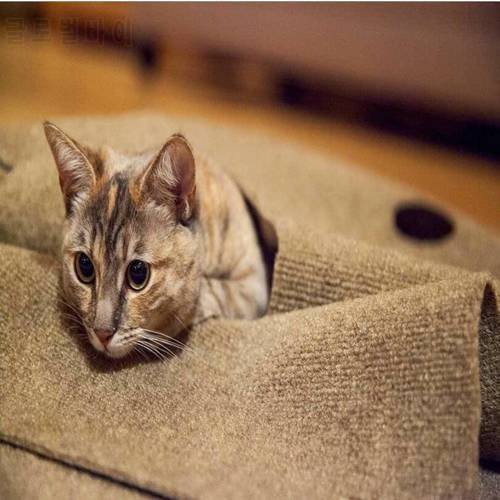 2019 New Creative Funny Felt Cloth Pet Play Mat Cat Agility Training Mat Cat Toy Bite Pad Pet Mat Cat Dog Cushion Cat litter pad