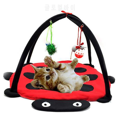 Pet Play Cat Tent Bed Funny Colorful Kitten Pad Cushion Exercise Folding Toy Cat Hammock Bed For Cat Bed Ladybird Stripe Leopard