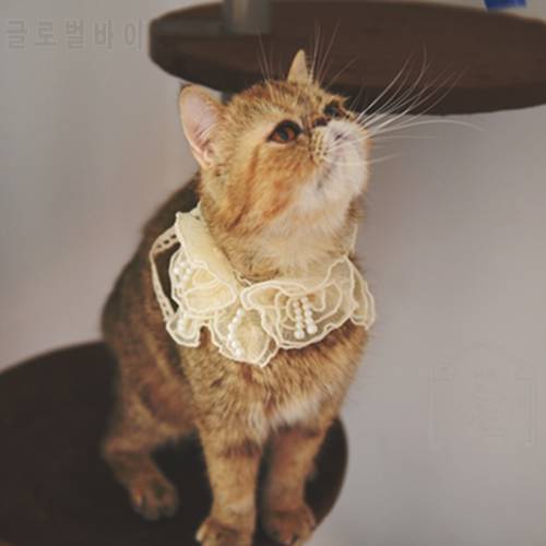 [MPK Store] Gorgeous Pearl Collars, Pet Wedding Collars, Cat Collars, Collars for Small Dogs