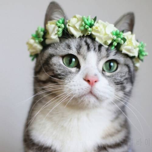 [MPK Store] Flowery Head Band for Cats, Pet Wedding Collars, Cat Collars