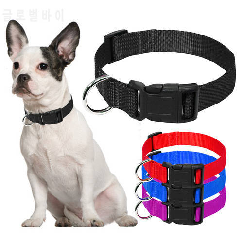 Nylon Dog Collar Small Dog Collars Cheap Pet Collar for Small Medium Dog Cat Pet blue/red/purple/black 4 Size