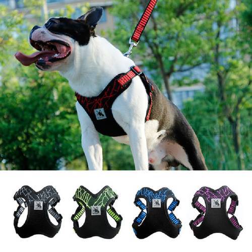 Dog Harness and Leash Set Outdoor Training Walking Harnesses Safety Sport Puppy Vest Reflective Pet Harness For Small Dogs Cats