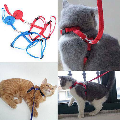 New Bright Color Adjustable Nylon Puppy Pet Harness Collar Lead Leash Safety Rope