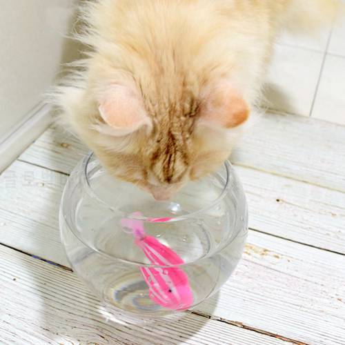 Battery-Powered Fish Cat Toy Fish