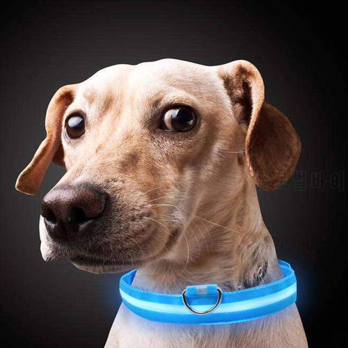 Nylon LED Pet Dog Collar Night Safety Flashing Glow In The Dark Dogs Leash Neck Band Luminous Fluorescent Collars Pets Supplies