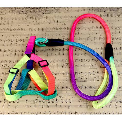 Adjustable Rainbow Nylon Puppy Dog Pet Cat Harness and Leash Pet Vest Lead Daily Training Walking Chest Strap