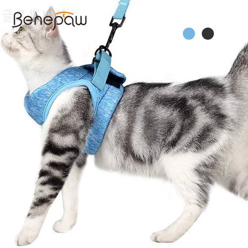 Benepaw Comfortable Cat Harness Leash Set Ultra-Light Kitten Harness Running Cushioning Anti-Escape Suitable Puppies Rabbits