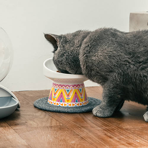 Non-slip Cat Feeder Dog Bowl Neck Protector Cat Pet Food Water Bowl Anti-tip Binaural Pet Feeding Cat Accessory Pet Dessert Bowl